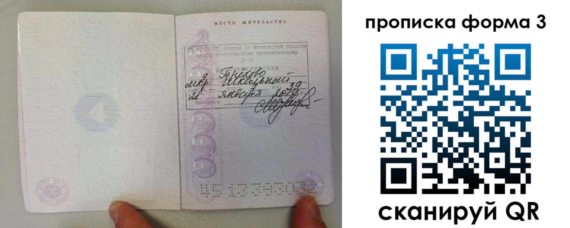 прописка гарантия в Соколе